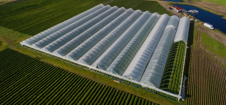 Zbrojenie kompozytowe dla agrobiznesu w Polsce (preview)