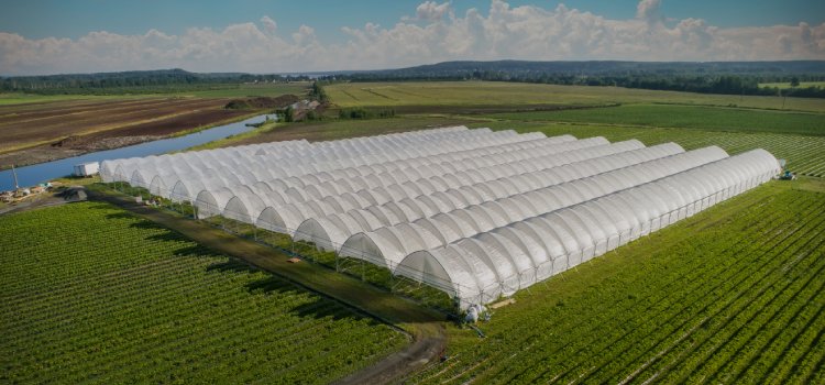 Kompozytowe zbrojenie z włókna szklanego do tunelu ogrodowego